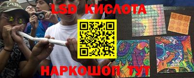 a pvp Рыбинск