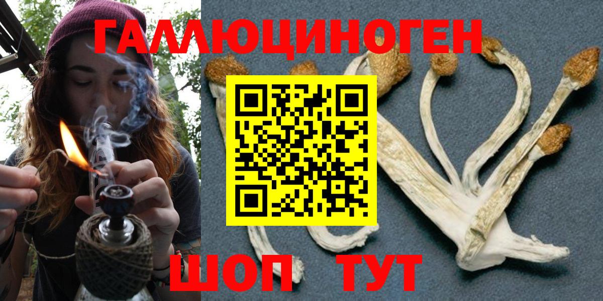 Шарыпово  Галлюциногенные грибы Magic Shrooms  Вход с VPN 